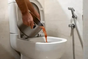 desentupidora de vaso sanitário