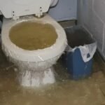 Caso real: como investigar um vaso sanitário que volta a entupir constantemente